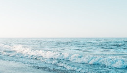 多摩祭2026スタート